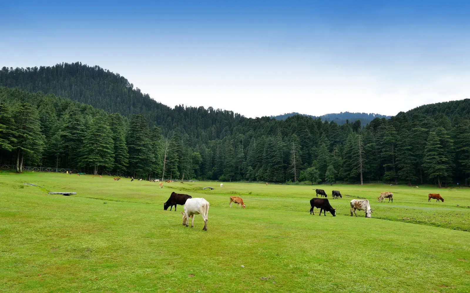Dalhousie Khajjiar Escape